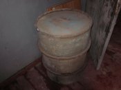 IMG_2031.jpg