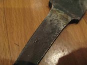 IMG_8300_thumb.jpg