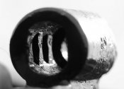 DSC_1037.jpg