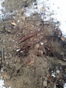 IMG_20171121_095458.jpg