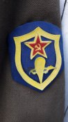 Китель ВДВ стойка ДМБ.