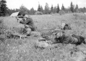 775433107643-1953_metsavennad-laskeharju_jpg_800x800_q100.jpg