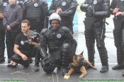 Защита голени и колена Police Великобритании . Оригинал 100% (14)