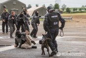 Защита голени и колена Police Великобритании . Оригинал 100% (14)
