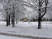DSCN7826.JPG