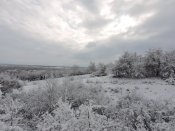 DSCN7906.JPG