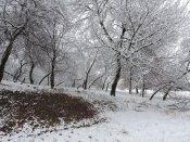 DSCN7983.JPG