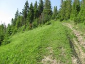 IMG_0744.jpg