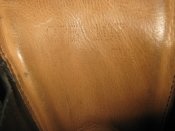 IMG_2588.JPG