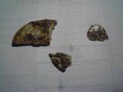 DSCN9908.JPG