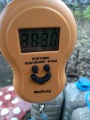 IMG_20171125_145240.jpg