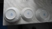 DSC01587.jpg