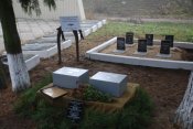 Дніпровокам'янка 17112017 012.jpg