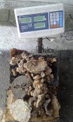 20171117_095923.jpg