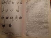 Всё о рыбной ловле