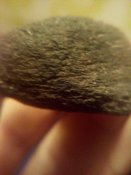 IMG_20171129_175553.jpg