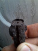 IMG_20120305_113816.jpg