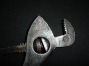 DSC07222.jpg