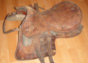 DSC02785.JPG