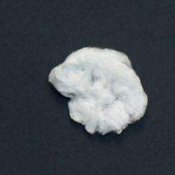 Nitrocellulose_hexanitrate.jpg