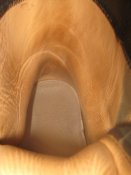 IMG_2626.JPG