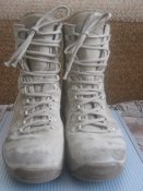 IMG_1537.jpg