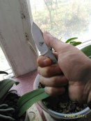 P_20171104_102902_p.jpg