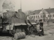 katze 457.JPG