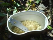 DSC00781.JPG