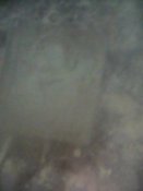 IMG0323A.jpg