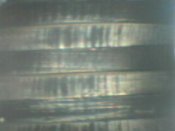 PICT0010.JPG