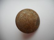 DSCN1008.jpg