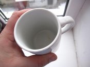 IMG_8844.jpg