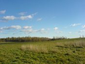 DSC00332.jpg