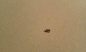 20171203_161257.jpg