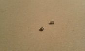 20171203_161314.jpg