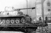7ed0ea508d66.jpg