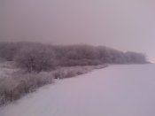 29-01-11_0932.jpg