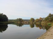 DSC02125.jpg