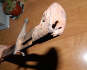 DSCN1343.jpg