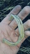 IMG_20171004_180404.jpg