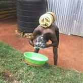 ^09D0751DB4858B8C4BE169FF1F8FE5750F49C2DCB809C1D709^pimgpsh_thumbnail_win_distr.jpg