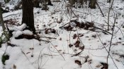 IMG_20171207_103629.jpg