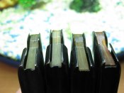 IMG_7700.JPG