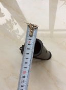 IMG_0195.JPG