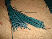 DSC02840.JPG