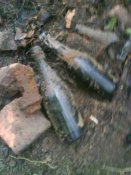DSC02395.JPG