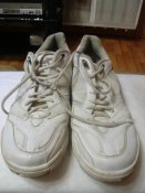 DSC03383.jpg