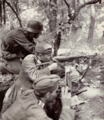 wehr (12).jpg
