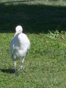 101_8299.jpg